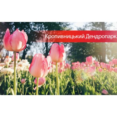 Тур в Кропивницкий на тюльпаны 27.04, 28.04